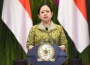 Konflik Memanas India – Pakistan Puan Desak Pemerintah Lindungi WNI