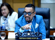 NasDem Nonaktifkan Ahmad Sahroni dan Nafa Urbach dari Keanggotaan DPR RI