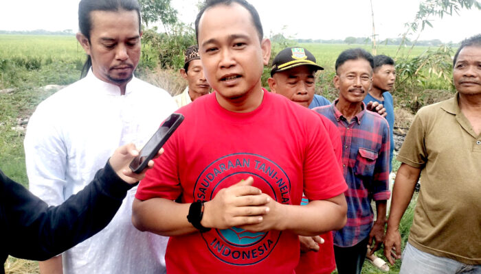 Hari Tani, Perti Desak Pemerintah Lindungi Lahan Pertanian