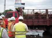 Pramono Pastikan Stok Daging Aman, 3.100 Sapi Impor Australia Tiba di Tanjung Priok