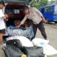 Polisi Gagalkan Pengiriman 400 Liter Sopi ke Ambon Melalui Pelabuhan Hunimua