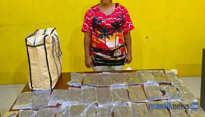 Polresta Sorong Kota Gagalkan Peredaran Hampir 600 Gram Ganja, Seorang Perempuan Ditangkap