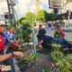 Lekransy: Gotong Royong dan Penghijauan Jadi Wujud Cinta Masyarakat terhadap Kota Ambon