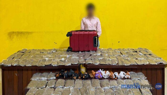 Kurir Ganja 5,4 Kilogram Ditangkap Polisi di KM Dobonsolo