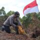 Sambut HUT RI ke-81, Polresta Sorong Kota Tanam 100 Bibit Pohon Bersama Warga