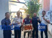 Panen Tomat Perkuat Program Kemandirian Warga Binaan Lapas Wahai