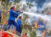 Hampir Dua Pekan Karhutla di Gunung Nona, Wali Kota Turun Langsung Pimpin Penanganan