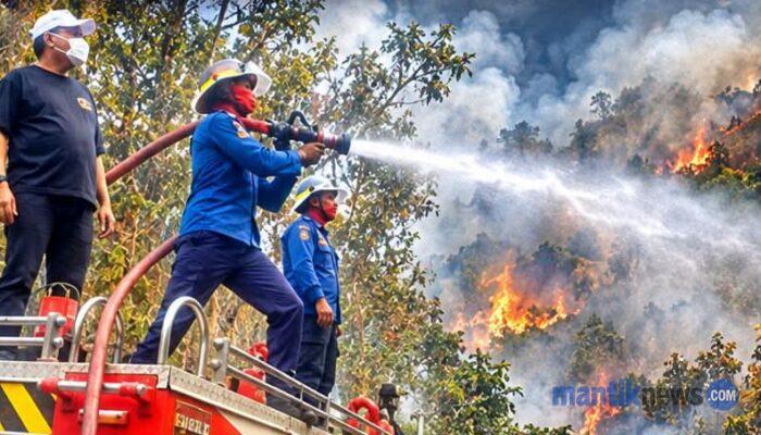 Hampir Dua Pekan Karhutla di Gunung Nona, Wali Kota Turun Langsung Pimpin Penanganan