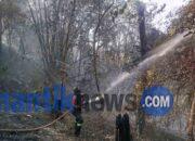 Silooy Desak Penyebab Kebakaran Lahan di Amahusu Diusut