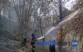 Silooy Desak Penyebab Kebakaran Lahan di Amahusu Diusut