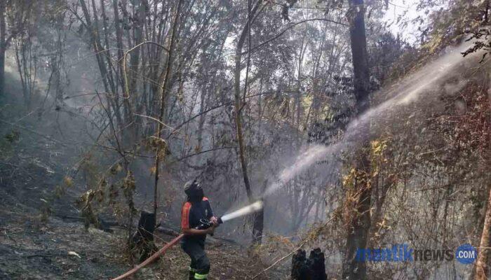 Silooy Desak Penyebab Kebakaran Lahan di Amahusu Diusut
