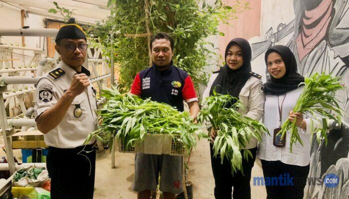 Lapas Wahai Kembangkan Hidroponik, Warga Binaan Dilatih Produktif di Lahan Sempit